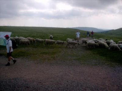 AH-Wanderung_2005_054.jpg