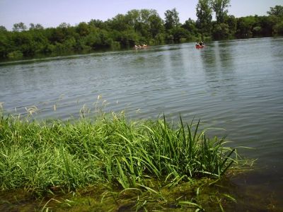 Kanu_2006_010.jpg